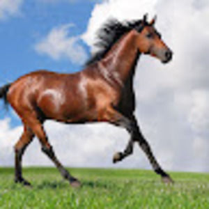 Meet your Posher, Stacy